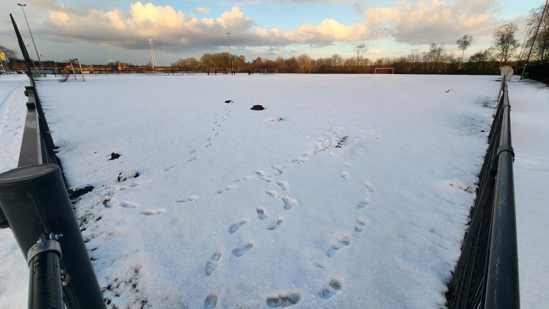 WhatsApp-Image-2026-01-04-at-162120-1 WhatsApp-Image-2026-01-04-at-162120-1